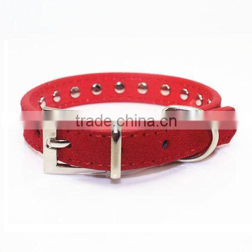Best Dog Collar