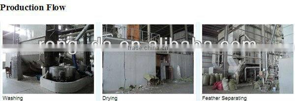 75% Washed White Duck Down