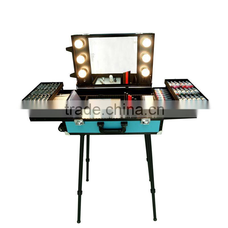 Mastor lighted professional makeup cases