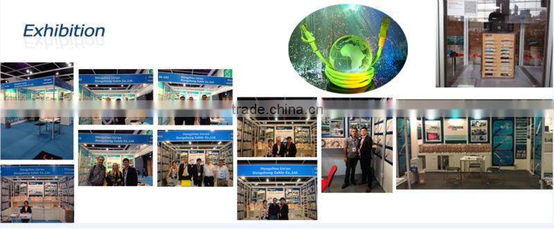 North America market Satellite TV Antenna