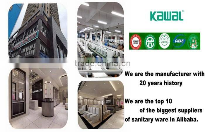 WC Toilet Bowl Ceramic Cheap 2 pics Sanitary Ware Toilet