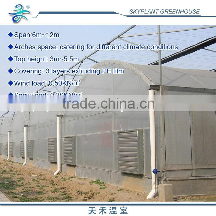 Large Multi Span Horticultural Plastic Green house