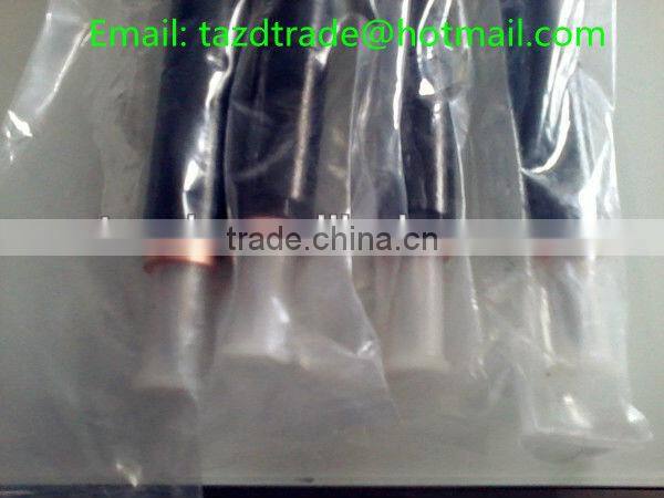 DELPHI Remanufactory Common Rail injector EJBR04701D /A6640170221 for SSANGYONG