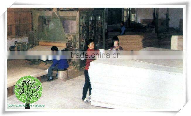 Falcata Core Blockboard