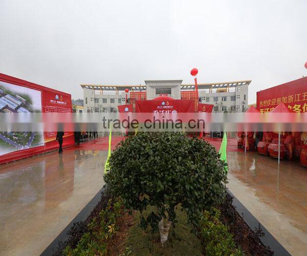 HS-C type chain block manufacturer