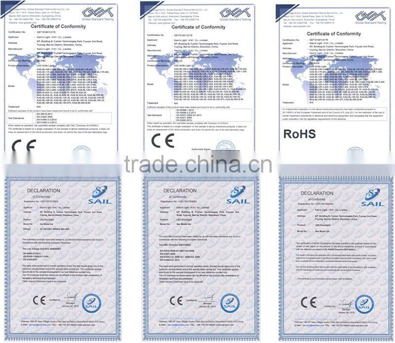 Whosale High power 30W Dimmable COB LED Downlight for hotel