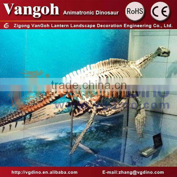 Zigong fiberglass skeleton dinosaur