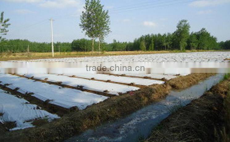 Guangzhou Junyu agriculture nonwoven fabric as a protection against heat loss in greenhouses and garden tunnels