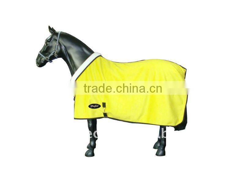 Teddy Fleece Blanket