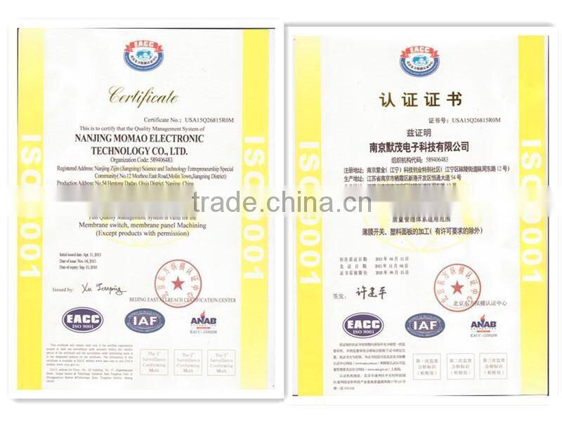 Custom power board overlay switch for flowmeter