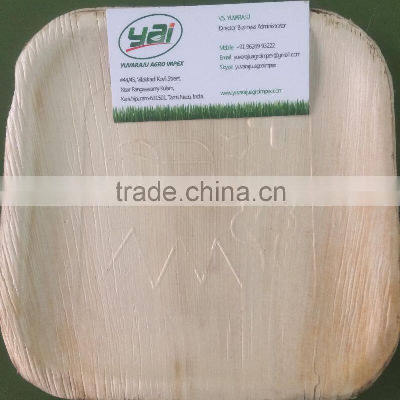 High Quality of New Square Shape Areca Plate Supplier in Malaysia / Singapore / Thailand