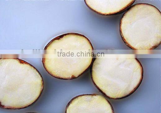 dandong city chestnuts jinhua species