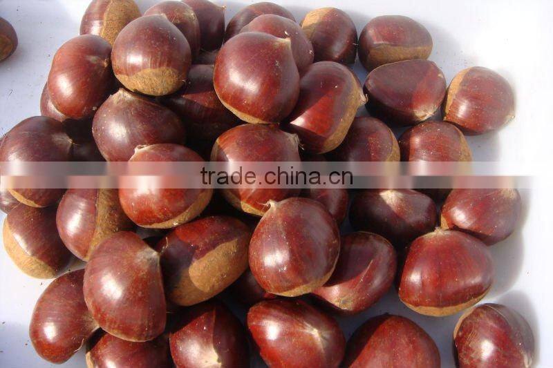 Organic dried chestnut