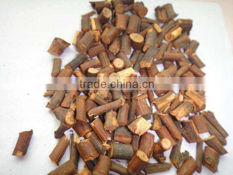 BRANCH CUT CASSIA