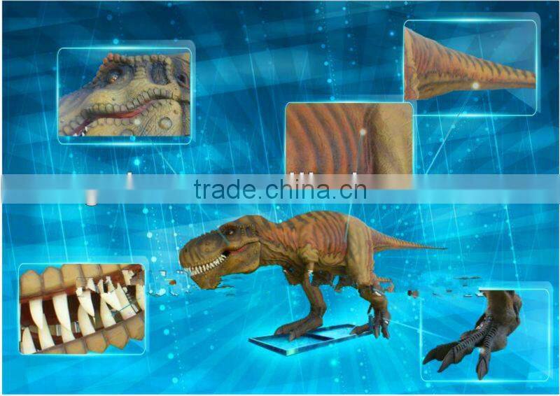 nature outdoor playground