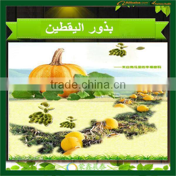 New Crop Pumpkin Kernels High Quality Inner Mongolia