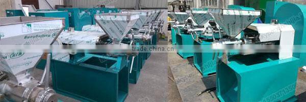 Professional automatic pumpkin seed oil press machine(mob:0086-15503713506)