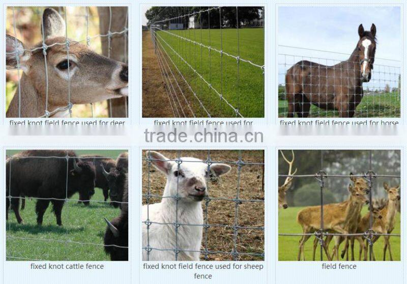 cattle farm fence steel metal type cattle fence cattle fence grassland