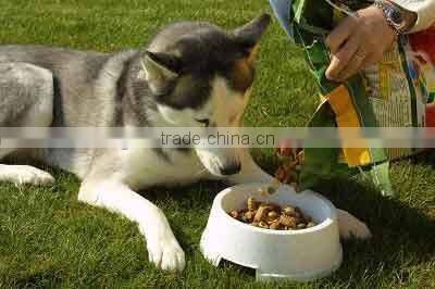 Rich nutrition dog food pellet making machine