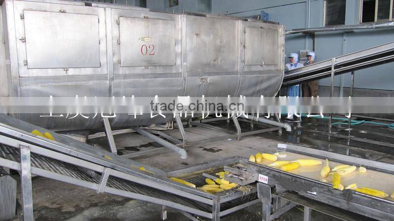 IQF frozen vegetables production line for vegetables and fruits