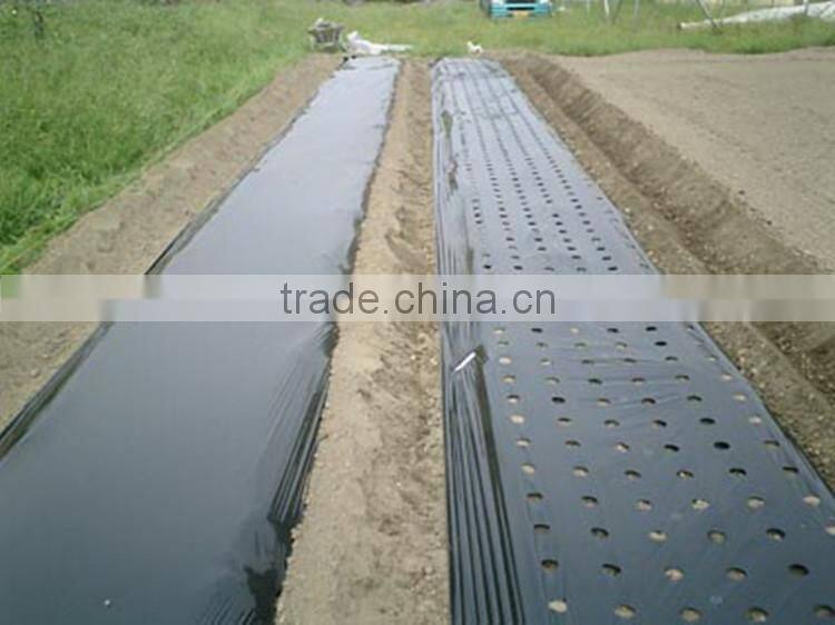 PE Agriculture Black Mulch Film with Perforated Holes