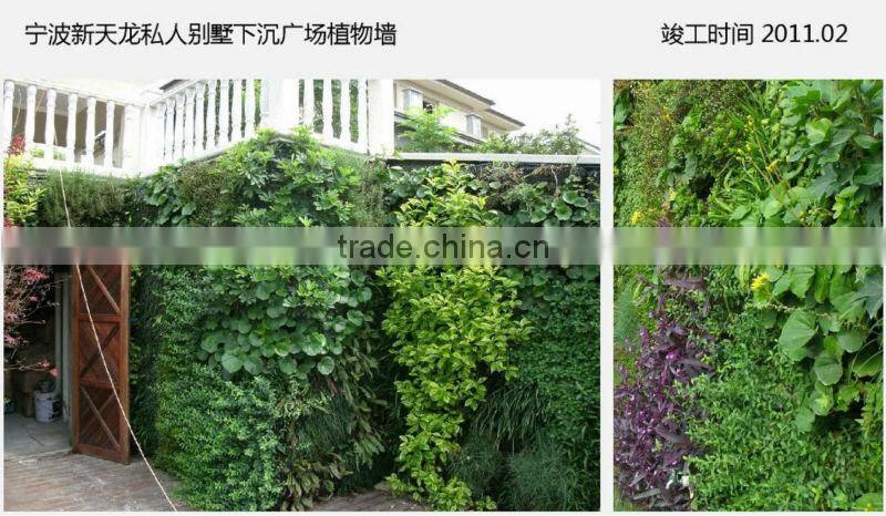 2015 new designed high quality artificial plant wall/decorative plants for sale
