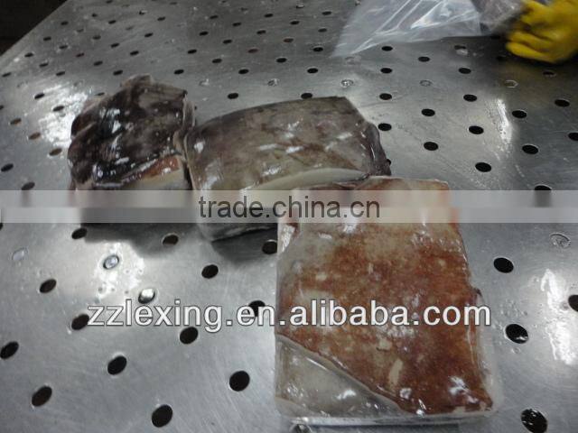 frozen giant squid wing