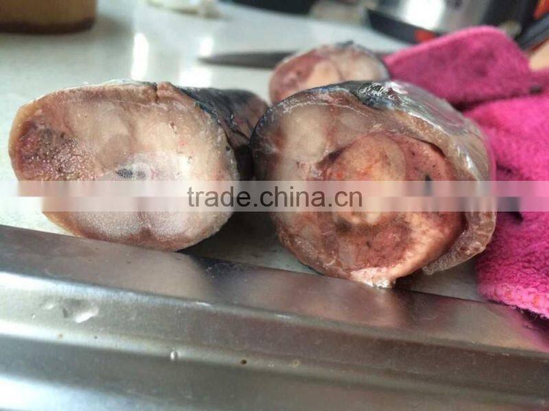2016 landing sea frozen mackerel 150-200g