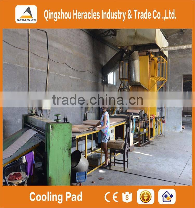 Alibaba China trade assurance pad and fan greenhouse cooling systems for poultry farm and greenhouse