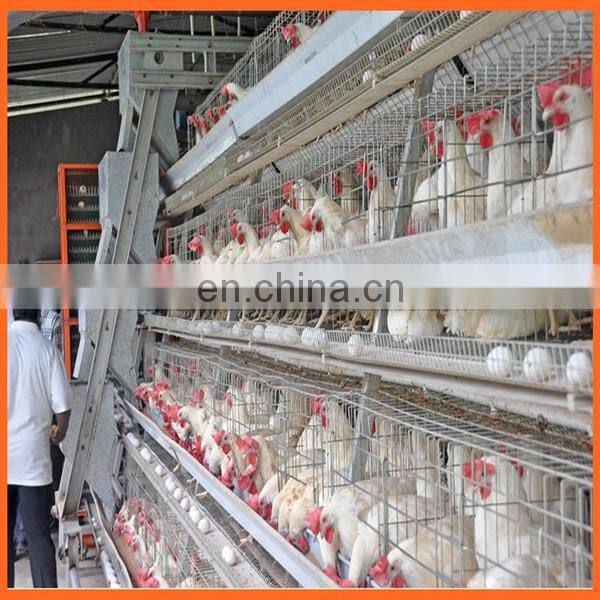 Battery Cages Laying Hens/battery Cages Laying Hens Layer Cage Chicken Feeding 90 - 200 Chicken One Set Low Carbon Steel Wire