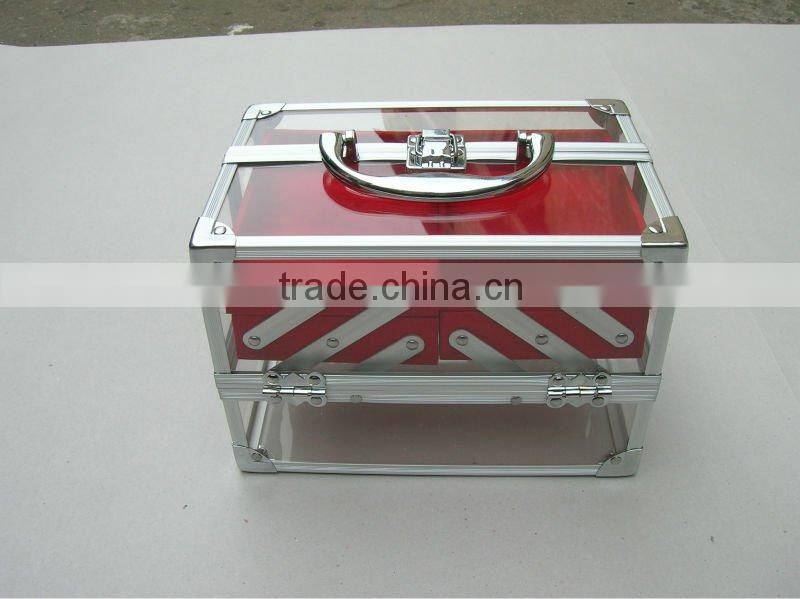 2013 new design acrylic carry case