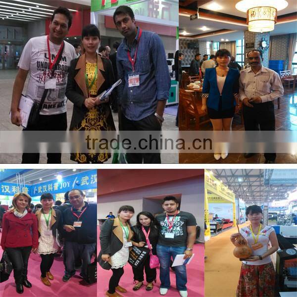 Cutting Speed 0-12000mm/min Mini CNC Plasma Cutter Machine