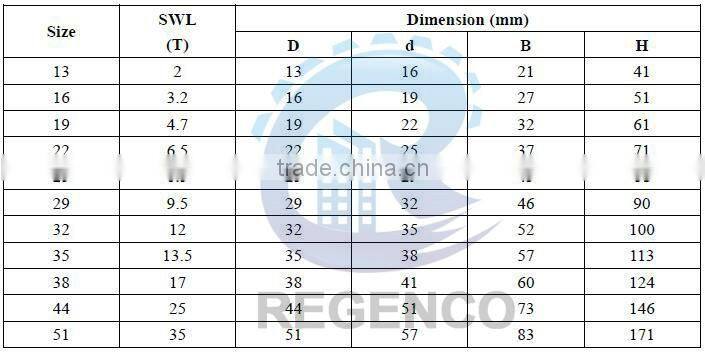 Grade S Dee Shackle with Safety Pins AS2741