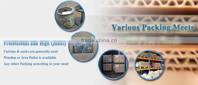 High Quality G80 Electro Galvanized Chain