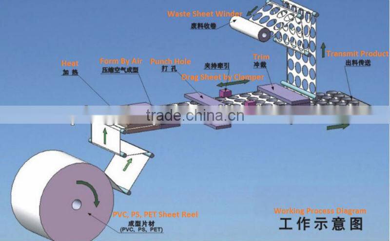 Medical Thermoformed Package