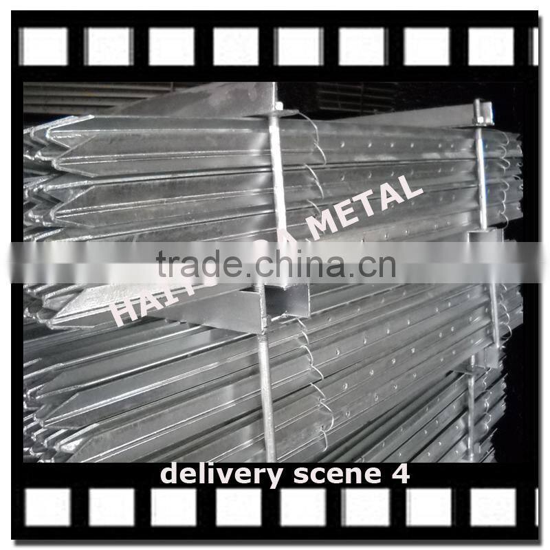 Galvanized Steel Y Fence Posts / Y Post /Star Picket