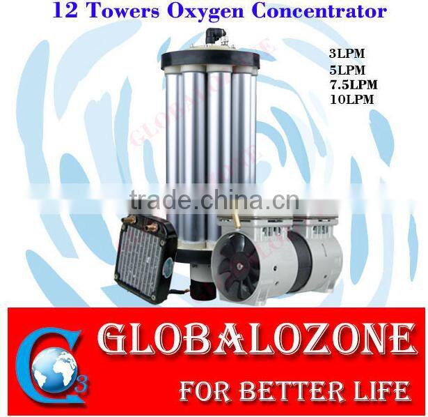 Built in oxygen concentrator ozone generator for water treatment