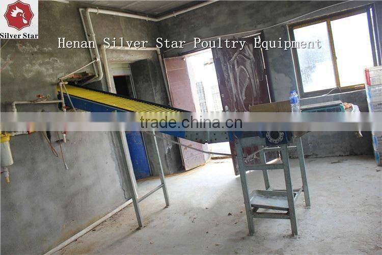 automatic belts manure removal/cleaning system chicken layer cage