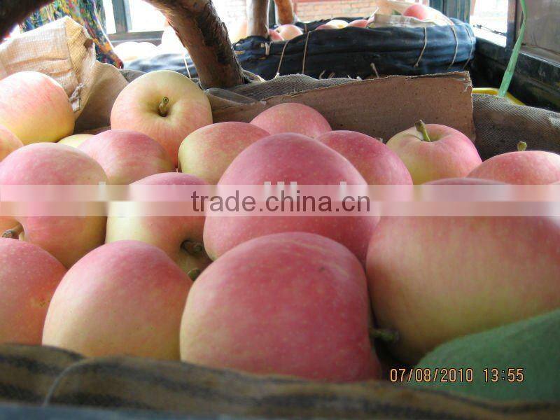 Fresh Royal Gala Apple