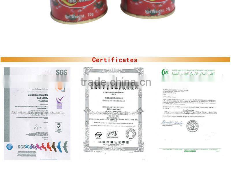OEM delicious 28-30 70g Xinjiang tomato paste 70gX50tins