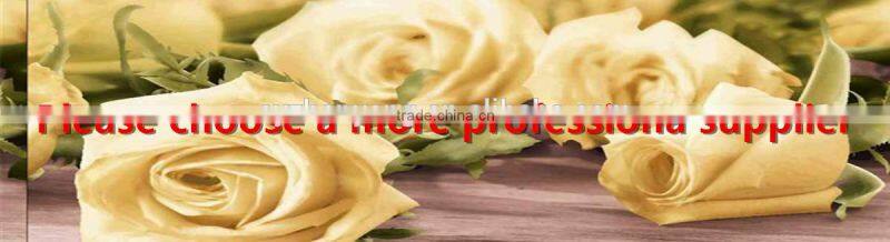 polyester printed fabric hometextile 6