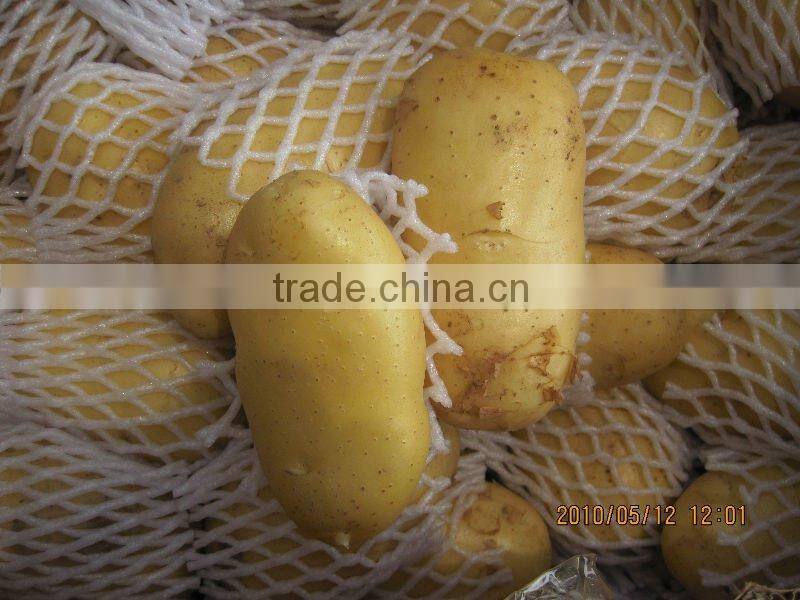 cold storage for potato