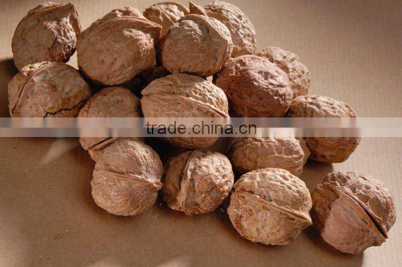 Walnut In Shell 2011,Bulk walnuts in shell