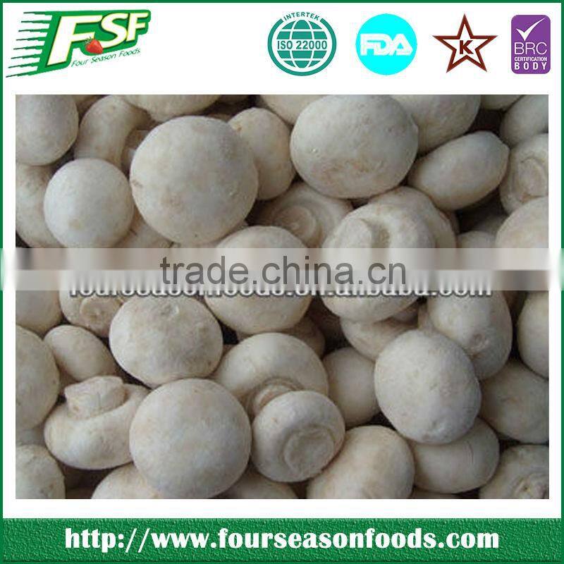 IQF oyster mushroom slices ,chinese mushroom 2016 crop