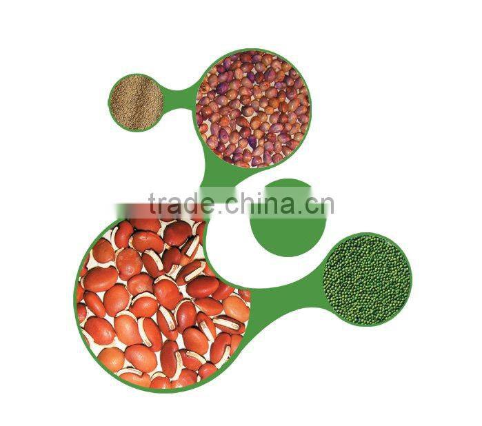 Green High Yield Perennial Hybrid Pennisetum Chinese Forage Seeds