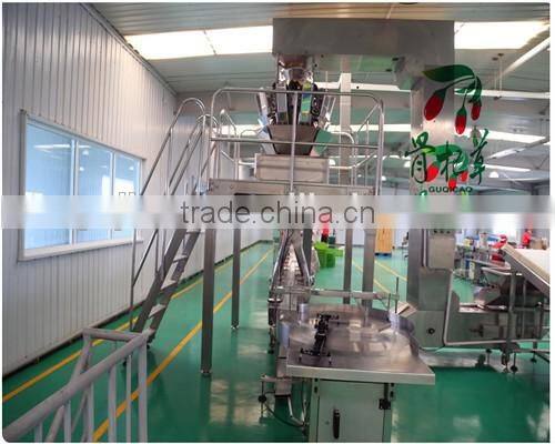 Chinese Wolfberry Extract Goji Berry Extract Powder