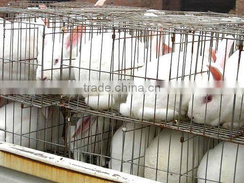 good quality Wood Pellet Machine0086-15838061756