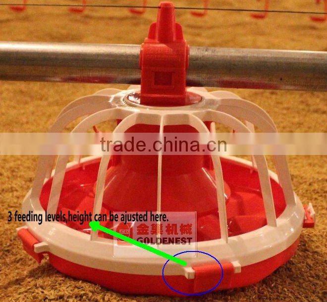automatic poultry feeing line