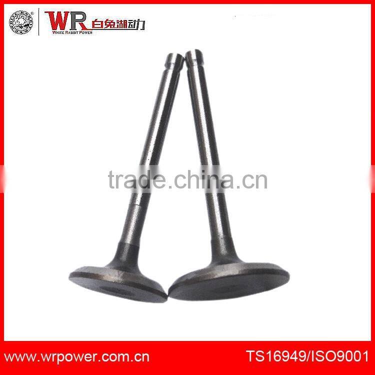 Exhaust Engine valve inlet and outlet valve
