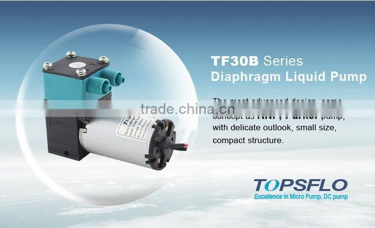 High Performance Liquid DC Diaphragm Chemical Free Water Treatment Systems pump